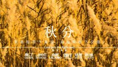 秋分丨晝夜分畫，漸入秋華