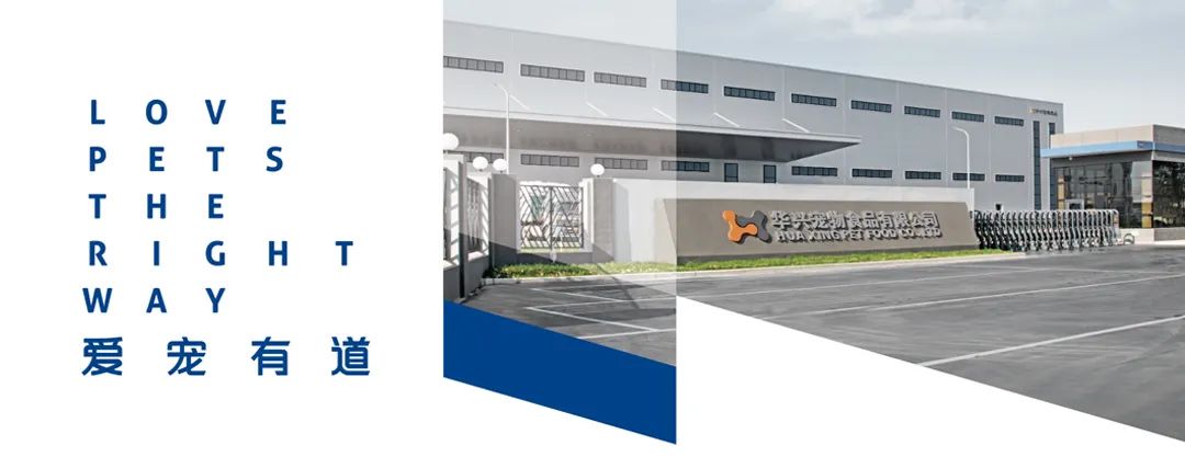 喜訊！華興公司分別榮獲“環境管理體系”“職業健康安全管理體系”認證證書