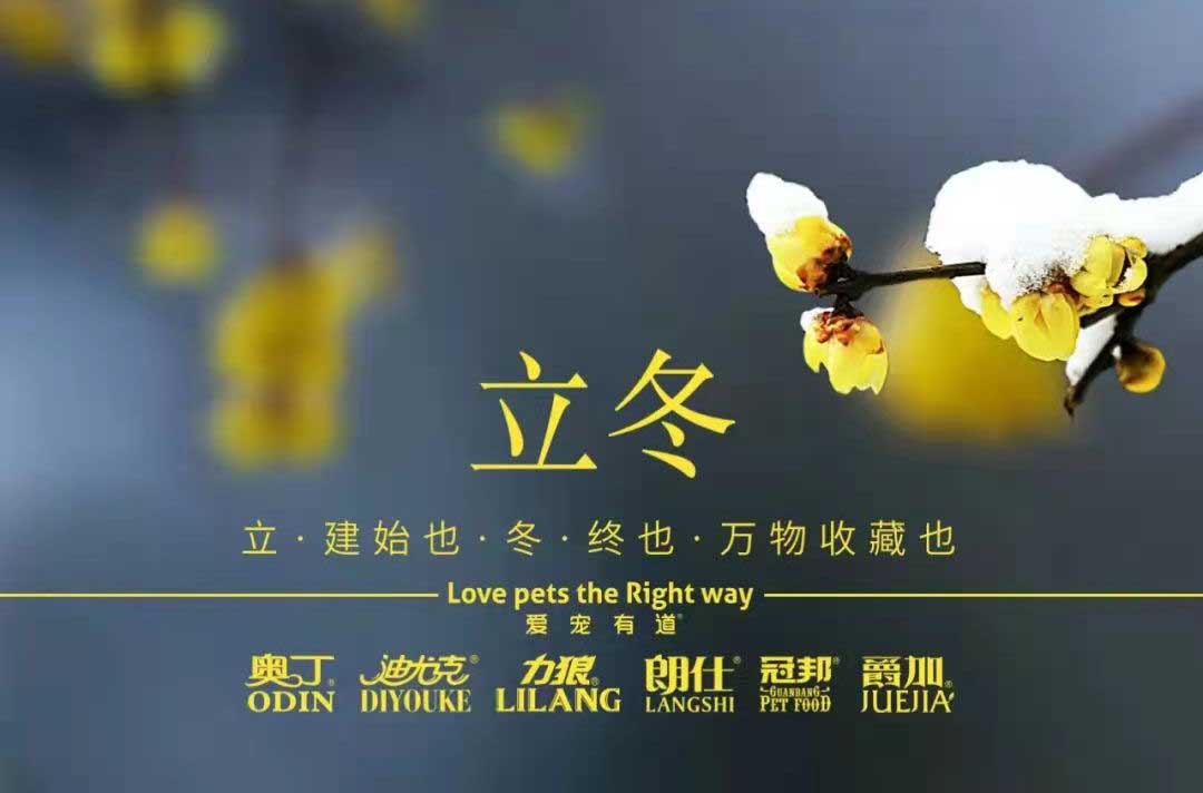 立冬丨冬寒初始，情暖愈濃